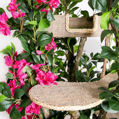 Bungalow Spring Cat Tree