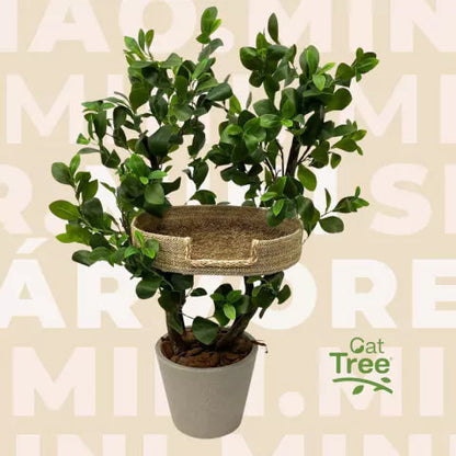 1.1m Natural Tree Mini Cat Tower｜Compact Indoor Cat Tree for Single Cats